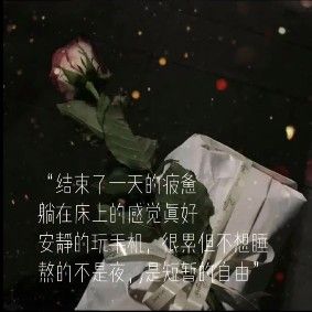 熬的不是夜,是短暂的自由背景图片 v1.0