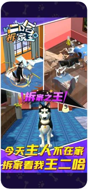 二哈拆家王  v1.1.4