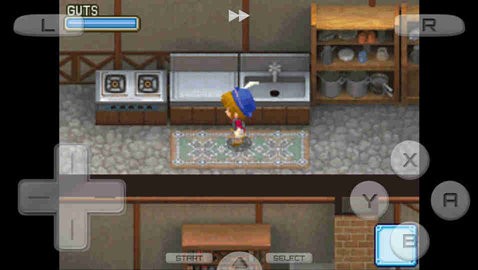 牧场物语之风之集市  v63.0