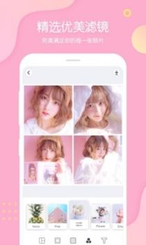 PINS v3.0.5