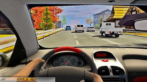 疯狂赛车追逐  v2.0.001