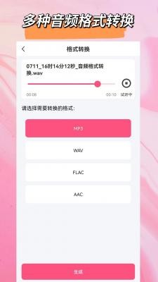 音频格式大师  v1.1
