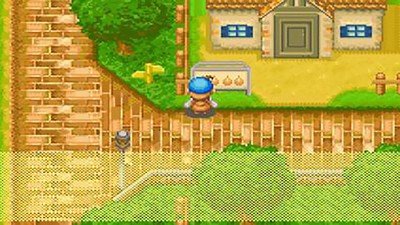 牧场物语矿石镇的伙伴们 版本:v1.6.2