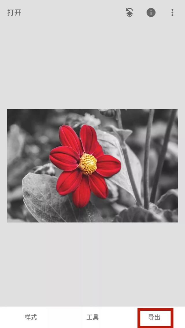 snapseed2022最新中文版官方版 v2.19.1.303051424