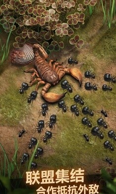 蚂蚁地下王国汉化版  v1.11.1