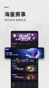 大圣电竞普通版 v3.0.5