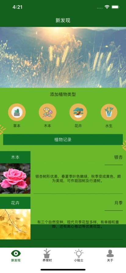 满眼青翠  V 1.0.0