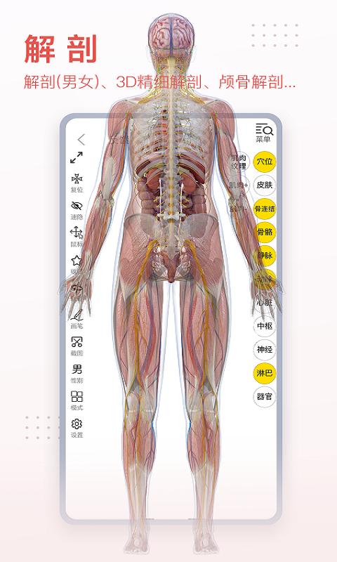 3Dbody解剖  v8.7.10