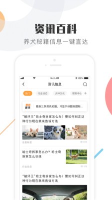 K9犬网截图1