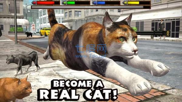 终极猫模拟器