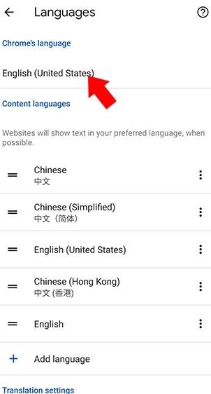 谷歌浏览器金丝雀版