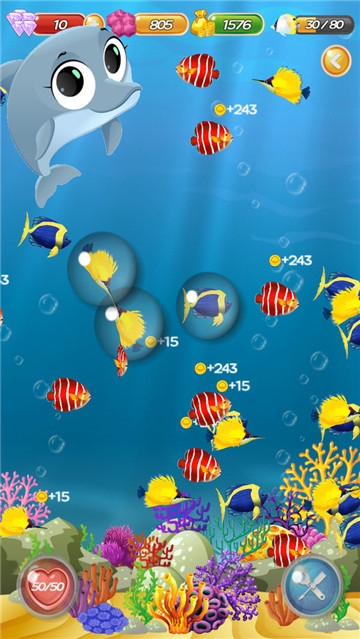 养鱼迷你水族馆