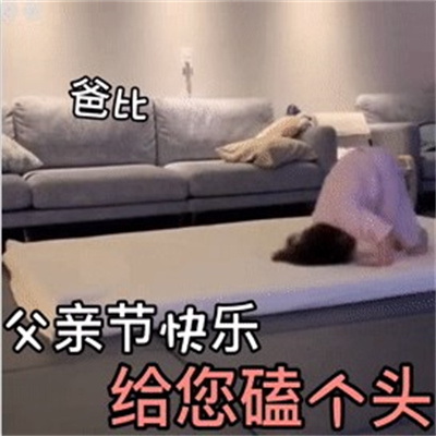 父亲节表情包权律二抖音可爱磕头动图图片 v1.0
