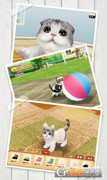 心动小猫 v1.36.2 安卓版