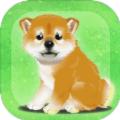 养育柴犬的治愈游戏安卓版 