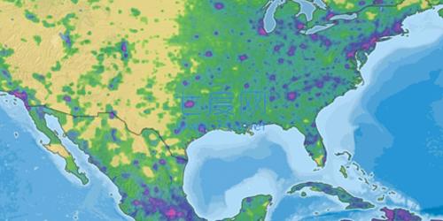 dummynation中文正版