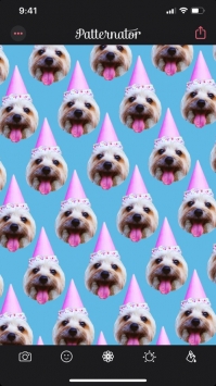 Patternator拍特内头ios版 v3.0.5