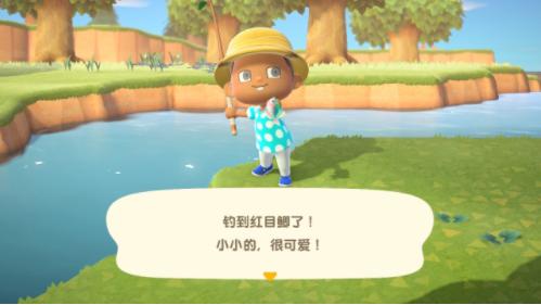 动物之森游戏截图2