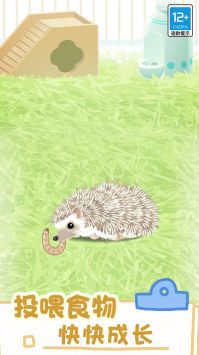 小小宠物截图3