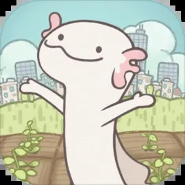 梦幻的城国际服