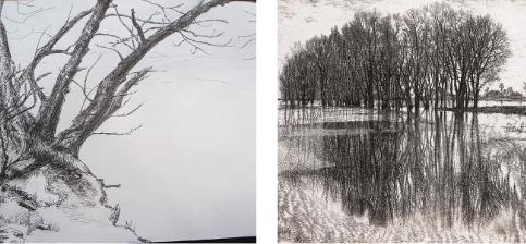 素描画画板App手机版  v5.0.3