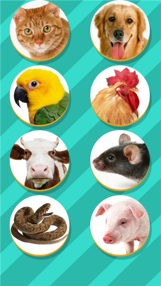 pet translator官方正版 v1.1