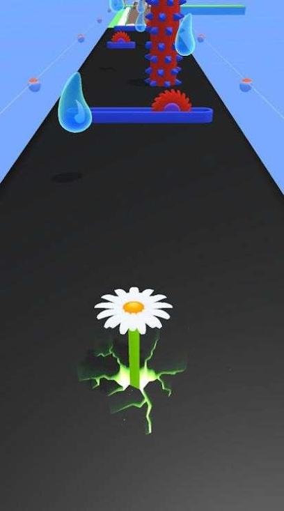 植物进化论.jpg 植物进化论.jpg