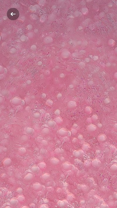 Fancy Slime(花式史莱姆最新版)