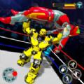格斗拳击体育馆游戏最新官方版(Grand Robot Ring Fighting Game) 