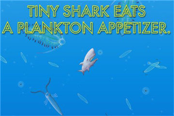 美味海洋2正版 v1.3.4.0