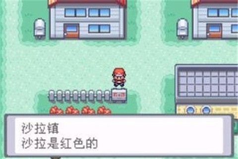 口袋妖怪叶绿gba  v2020.12.03.15