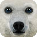ArcticSim(终极北极模拟器)