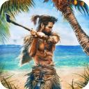 幸存者冒险生存岛中文版(Survivor Adventure)