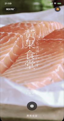 INCH相机 1.0