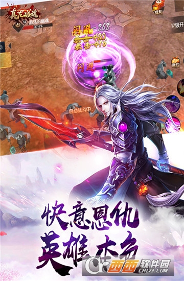 真龙战魂折扣版
