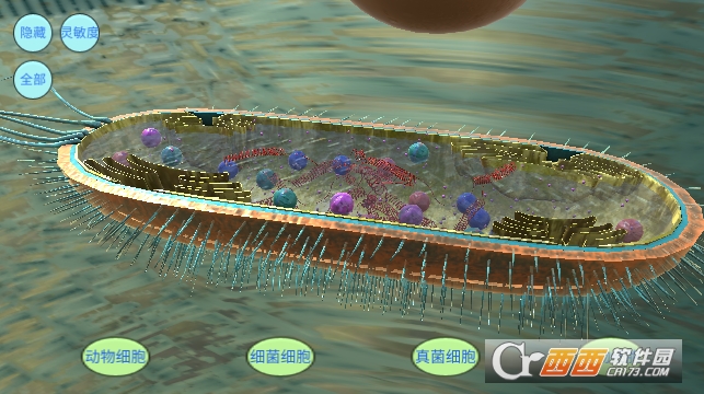 细胞模拟截图0