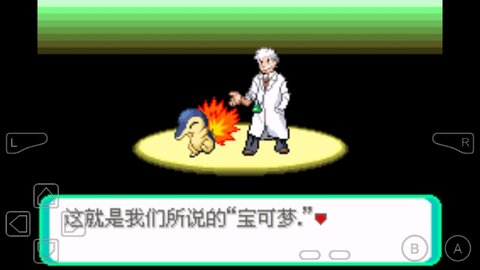 口袋妖怪黑暗之火汉化版