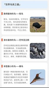 青鸟看看  v2.0.0