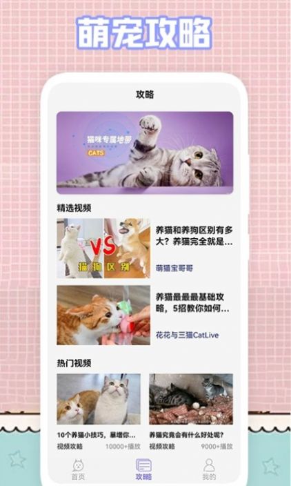 我的猫咪壁纸app官方版  v5.5.1