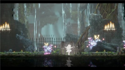 终结的百合花骑士们的解脱 2024-06-25 15:08