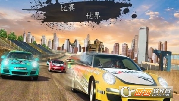 拉力赛狂怒 v1.0.4
