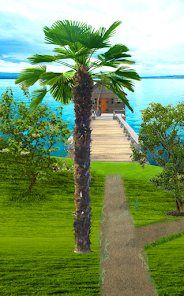 逃脱游戏莉莉夫人岛