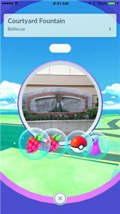 精灵宝可梦GO国服中文版  v0.277.3