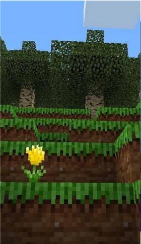 迷你工艺探索  v1.0.3