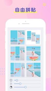 PINS普通版 v3.0.5