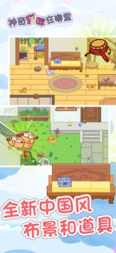 神奇猫咪在哪里中国特别版 v2.5.5