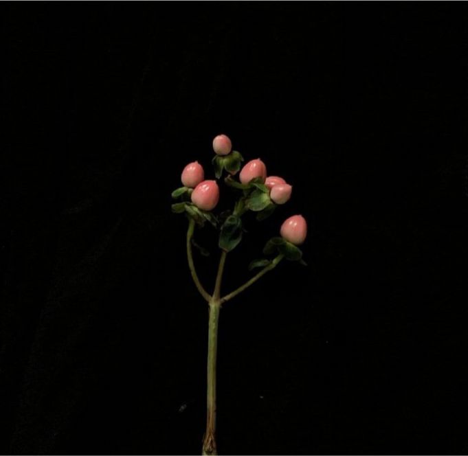 再无避风港余额就是安全感图片 v1.0