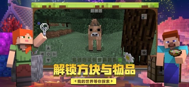 我的世界 1.16.5 v3.1.0