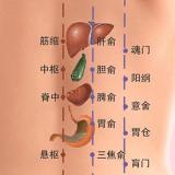 中医经络穴位流注