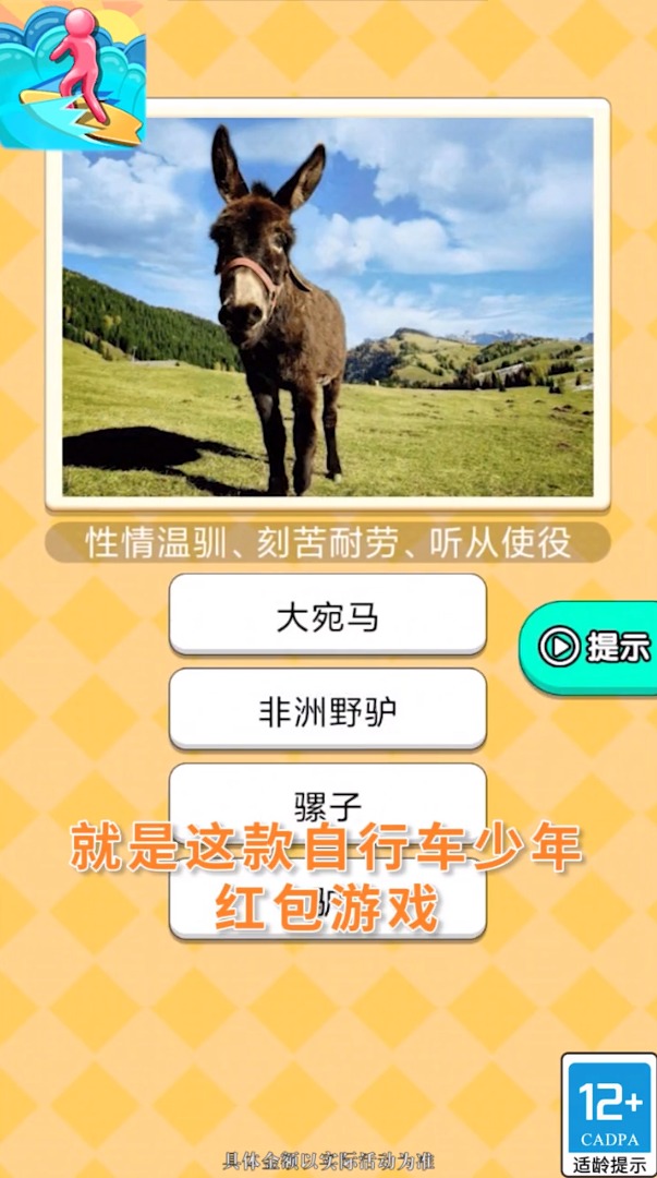 自行车少年游戏红包版  v3.1.2